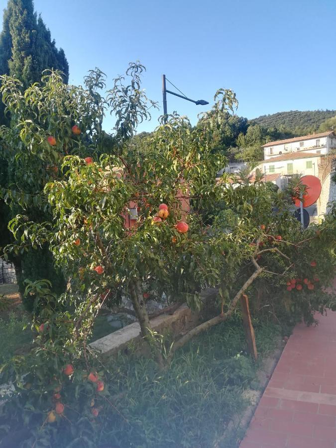 La Vecchia Locanda カステルヌオーヴォ・ディ・ヴァル・ディ・チェーチナ エクステリア 写真